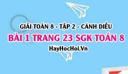 Bài 1 trang 23 Toán 8 Tập 2 Cánh Diều